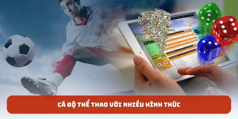 Cá độ thể thao với nhiều hình thức