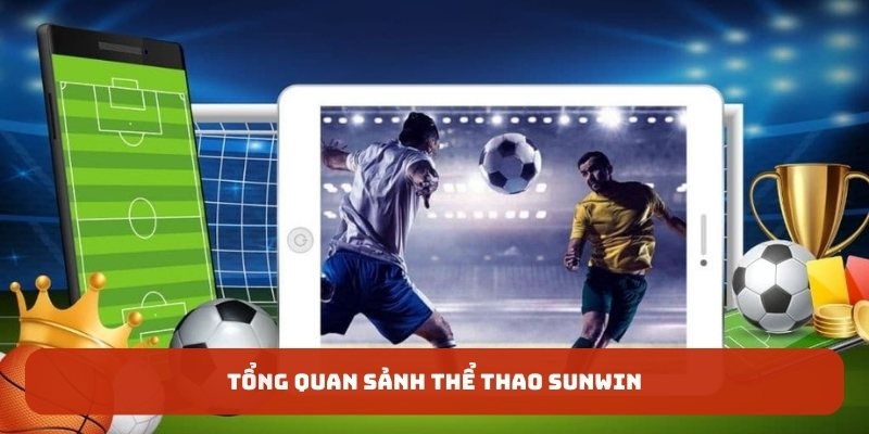 Tổng quan sảnh thể thao SUNWIN