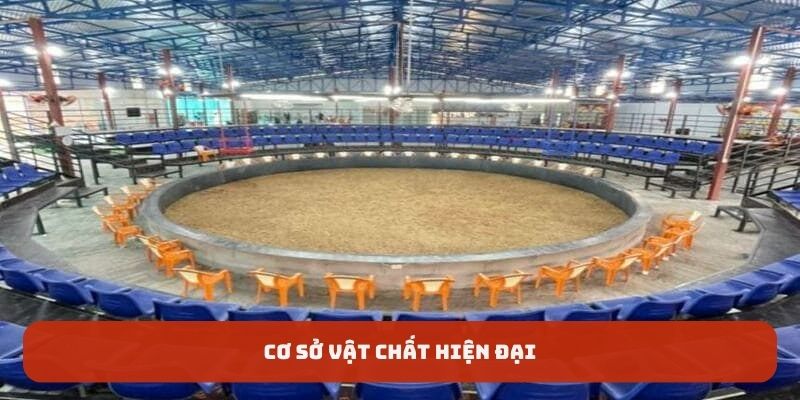 Chuyên nghiệp về tất cả mọi thứ tại trường đấu