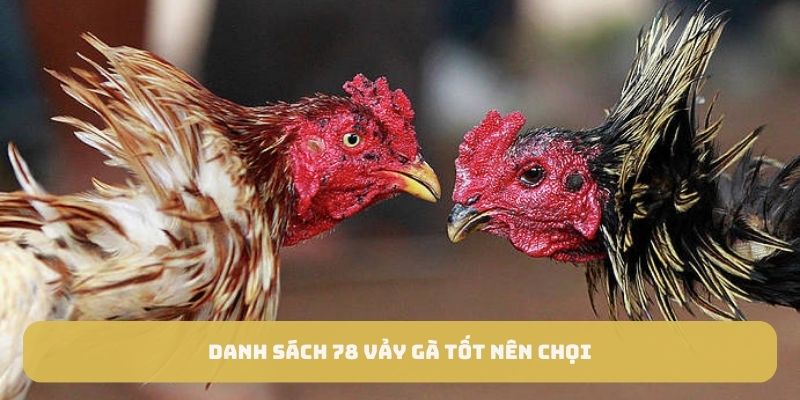 Danh sách 78 ngựa tốt nên sinh động